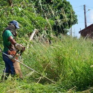 limpeza de terreno
